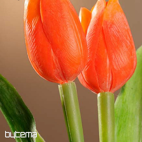 Mix di colori dei tulipani
