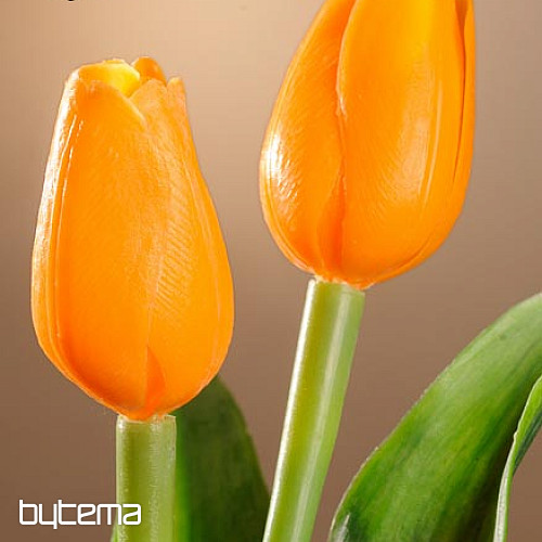 Mix di colori dei tulipani