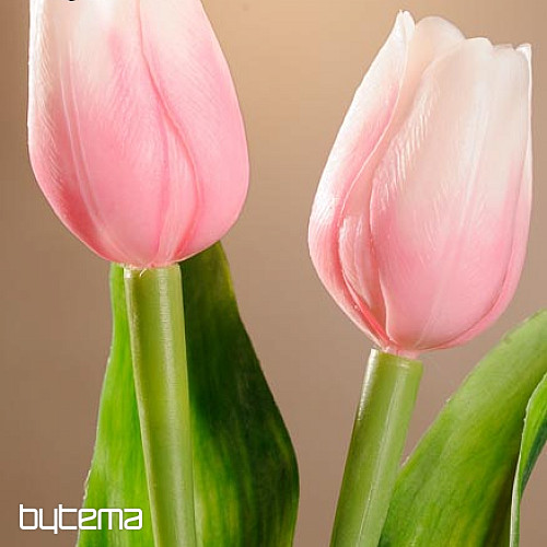 Mix di colori dei tulipani