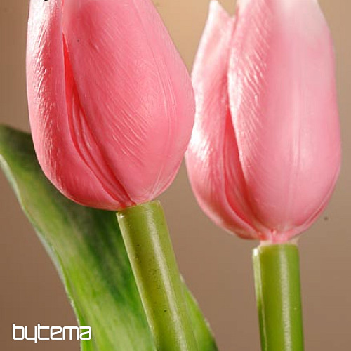 Mix di colori dei tulipani