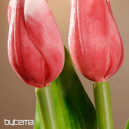 Mix di colori dei tulipani