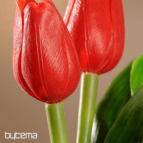 Mix di colori dei tulipani