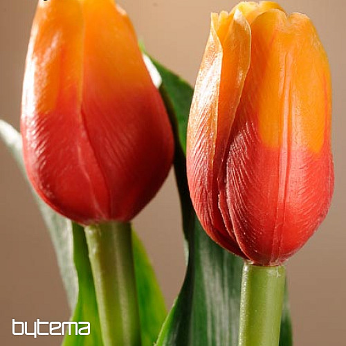 Mix di colori dei tulipani