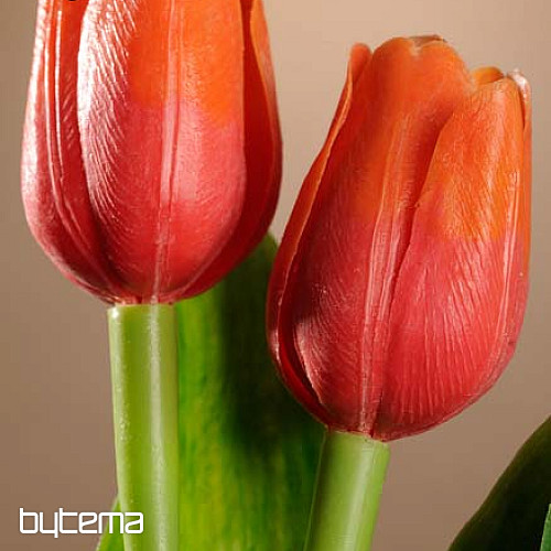Mix di colori dei tulipani