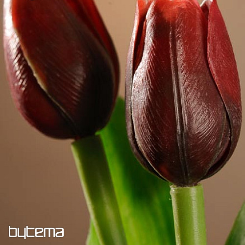 Mix di colori dei tulipani