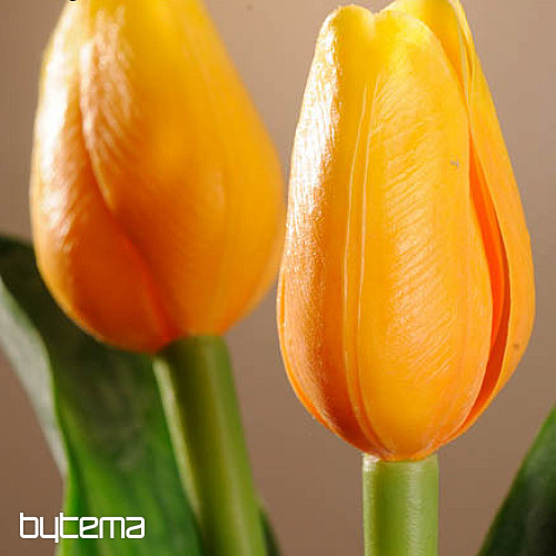 Mix di colori dei tulipani