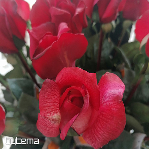 Bocciolo di rosa rosso 70 cm