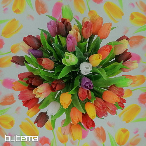 Mix di colori dei tulipani